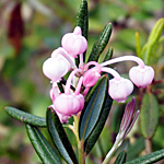 DSC04536.jpg