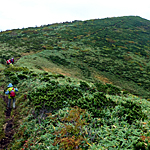 P1030117.jpg