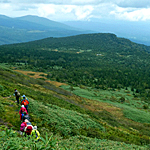 P1030139.jpg